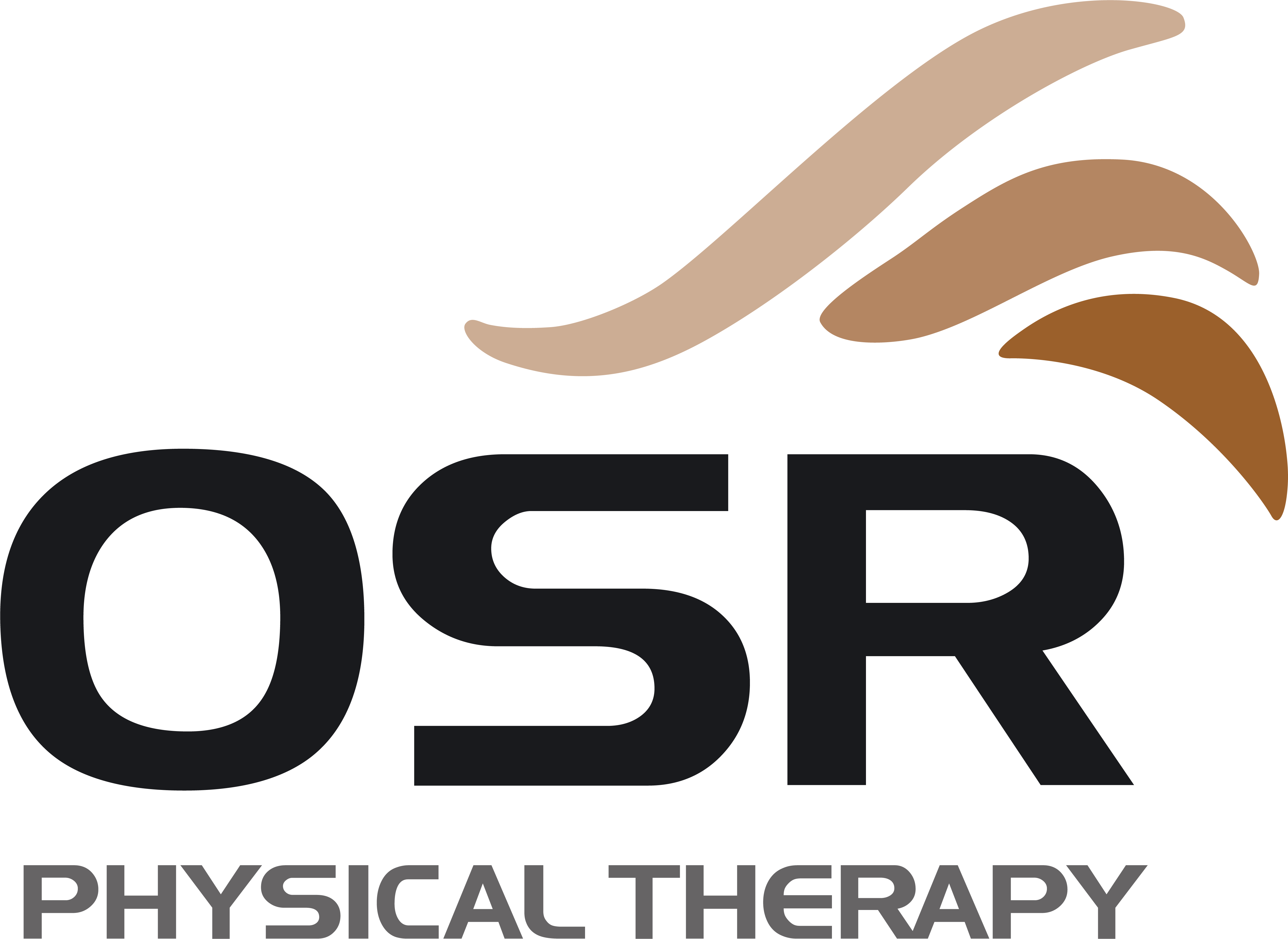 OSR Logo
